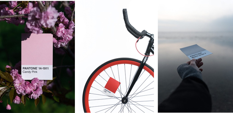 creative photographer buffalo ny